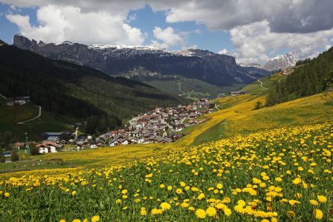 Image: Summer in Alta Badia